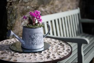 Trysor Holiday Cottage, Cardigan Bay with sea views - 3