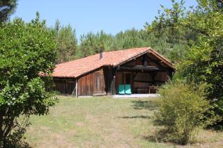 Bergerie sur Airial Landais - Vielle-Saint-Girons - 2