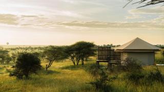Salinero Serengeti - 7