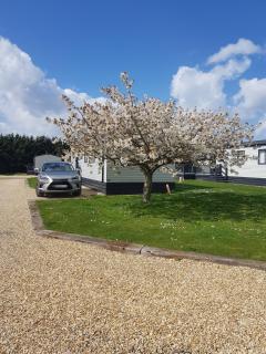 Stylish 3-bed Mobile Home on St Helen's Coastal Resort, Isle of Wight - 5