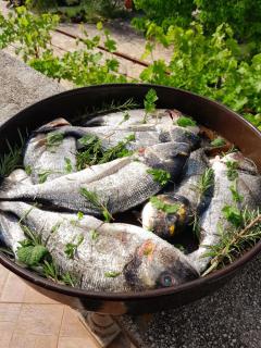 Apartment Villageway - 7