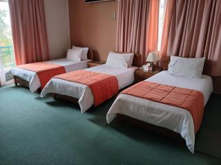 GARDEN HOTEL - Broummana - 3