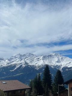 Verbier Luxury Apartment - Newly Renovated - 4 Guests - Verbier - 9