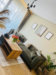 Apartament Judy - Oradea - 5