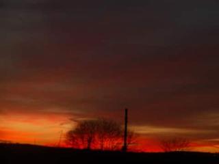 Colloggett - Saltash - 6