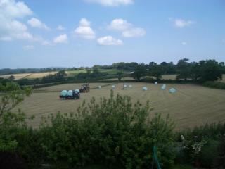 Colloggett - Saltash - 1