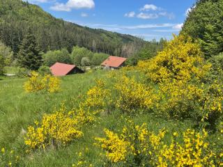 La Hutte - Tendon - 3