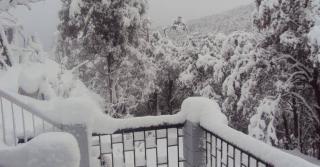 Jaishnavi Homestay And Restaurant - 2