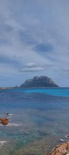Porto San Paolo a 50 mt dal mare - Loiri Porto San Paolo - 1