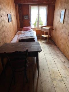 Berghotel Gasterntal - Kandersteg - 9