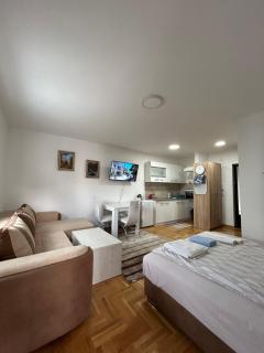 Apartmani Central 8 & Free parking - Vrnjačka Banja - 9