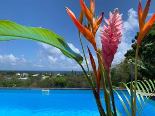 Villa Balisier vue mer piscine privée -V. Ciel&Mer - 8