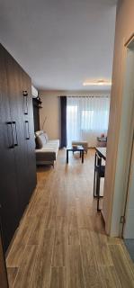 Cera luxe studio 1 i 2 - Soko Banja - 8