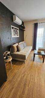 Cera luxe studio 1 i 2 - Soko Banja - 6