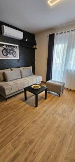 Cera luxe studio 1 i 2 - Soko Banja - 4