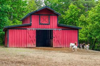Faith Family Farmhouse on Farm in Mentone, Alabama - Mentone - 1