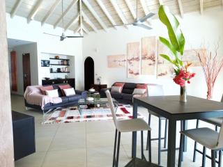Villa Diamantine - Infinity pool and Jacuzzi - Cul de Sac - 6