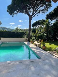 La Beluga - Sainte-Maxime - 5