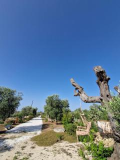 Eden Le Tre Sorelle - San Cesario di Lecce - 7