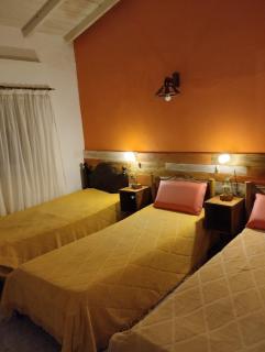 Mitorito entre el Mar y el Bosque - 2