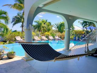 Villa Diamantine - Infinity pool and Jacuzzi - Cul de Sac - 7