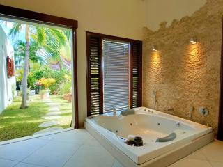 Villa Diamantine - Infinity pool and Jacuzzi - Cul de Sac - 1