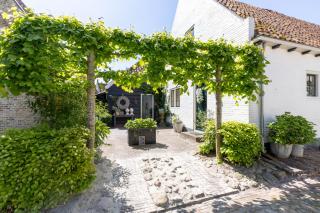 Ster van Bourtange - Bourtange - 6