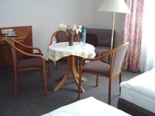 Hotel Stiftswingert - Mainz - 3
