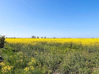 Holiday home BORGHOLM XIX - 2