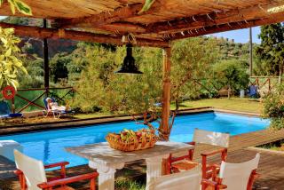 Almond Tree - Elounda Traditional Homes of Crete - Vrouhas - 7