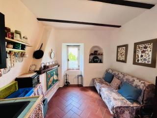 Casa Amiata 2 - Montelaterone - 1