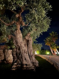 Alla villa di Angelo - Monopoli - 3
