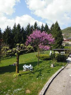 B&B I Baloss - Berbenno - 4