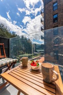 Zlatibor Centar Lux Apartman - Zlatibor - 9