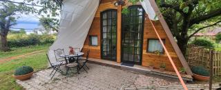 romanticTerrebio - 8