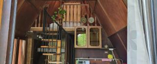 romanticTerrebio - 4