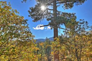 Upscale Designer Chalet Amazing Game Room! - Big Bear Lake - 5