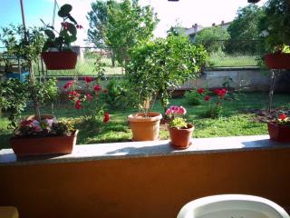 Apartman Grgurevic - Pula - 7