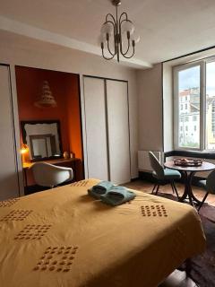 Appartement Hedas hyper centre - Pau - 3
