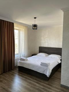 By Alikhanyans Guest House - Dilijan - 8