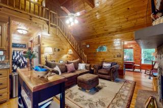 Trout House - Mineral Bluff - 2