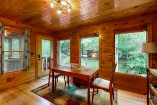 Trout House - Mineral Bluff - 1