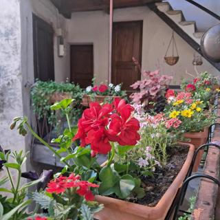 La Corte del Poeta - 2