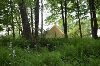 Peyper Fields - 6