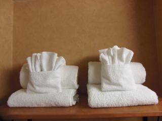 Rosslyn Inn & Suites - 6