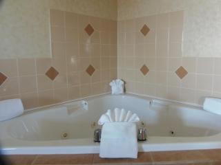 Rosslyn Inn & Suites - 2