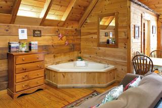 Cozy Cabin! Hot Tub, King Bed, Fireplace, & Pool - Gatlinburg - 1