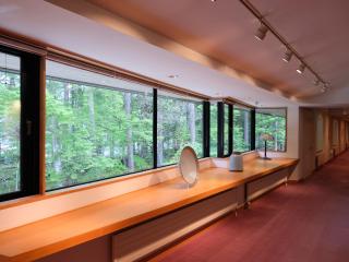 KARUIZAWA CLUB D'ARTE - Karuizawa - 1