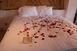 The Ivy Hotel Bali - Ubud - 9