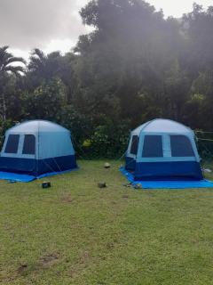 Ravehei smile relais 2 moorea - Afareaitu - 3